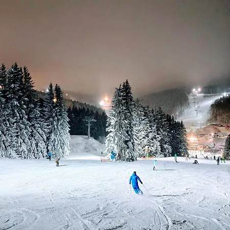 Apartmán Fichtenzauber - Balkon, Nahe Bikepark & Skipiste *