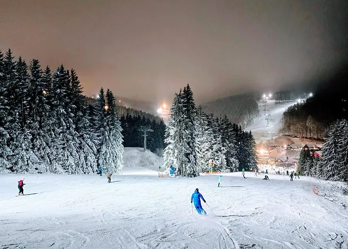 Lejlighed Fichtenzauber - Balkon, Nahe Bikepark & Skipiste *